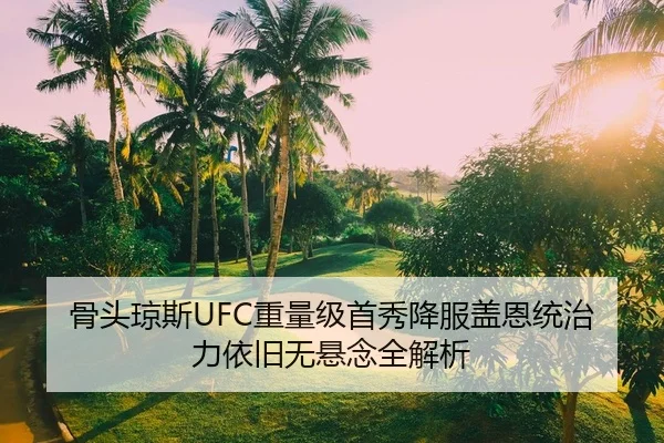 骨头琼斯UFC重量级首秀降服盖恩统治力依旧无悬念全解析
